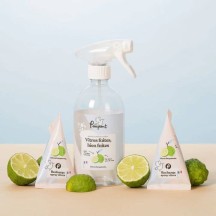Pack spray "Vitres"