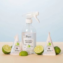 Pack spray "Vitres"