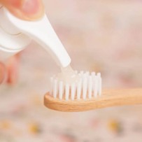 Dentifrice citron - recharge