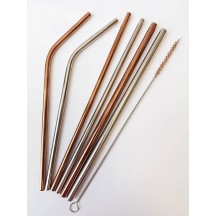 Pack de 3 pailles en acier inoxydable + brosse