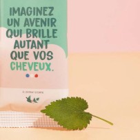 Shampoing purifiant (cheveux gras)