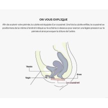 Culotte de soutien réduisant les fuites urinaires à l'effort