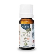 Synergie pour diffuseur hiver - Néobulle