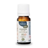 Synergie pour diffuseur hiver - Néobulle