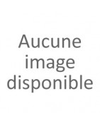 MATERNITE
